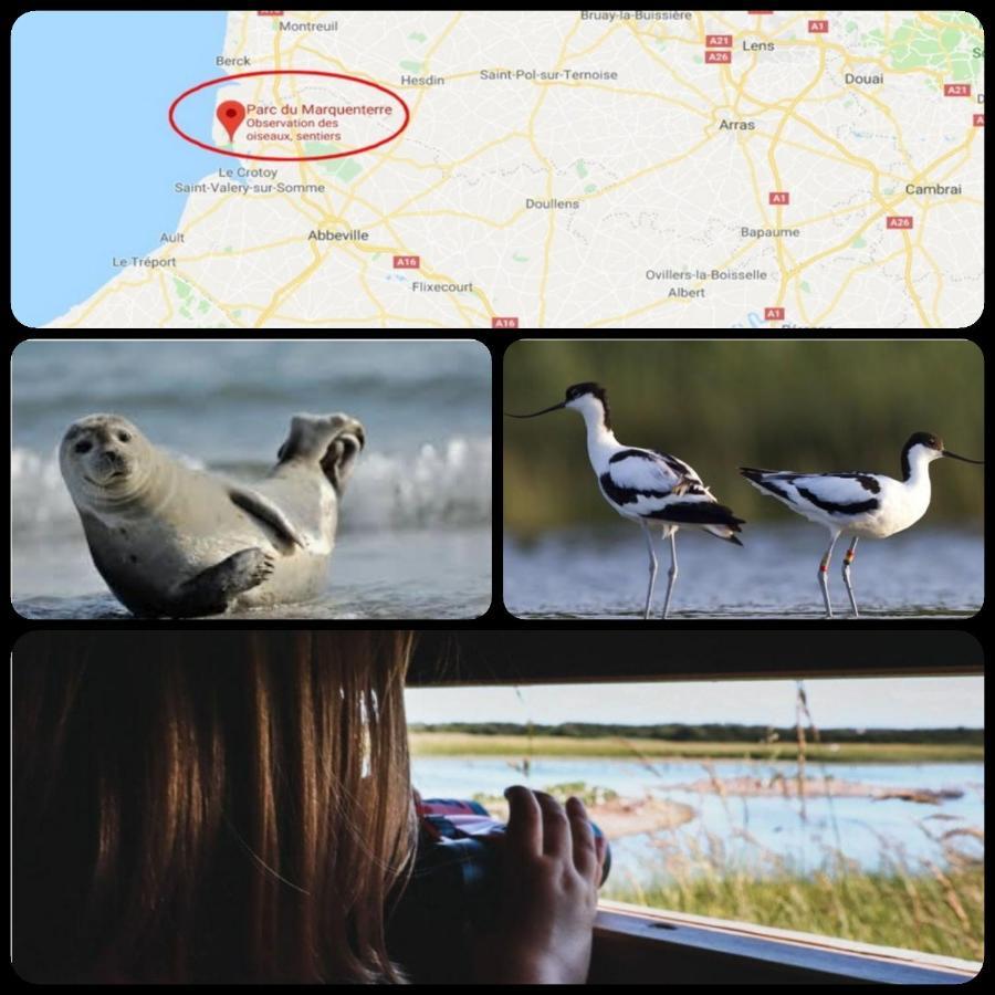 Diapason Location Le Treport Pour 5 Personnes Βίλα Εξωτερικό φωτογραφία